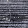 Solid Color Rectangular Floor Mat Household Bathroom Water-absorbent Anti-slip Mat Home Decoration Entrance Door Floor Mat