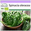 Biologico - Spinaci - Matador - 300 semi - Spinacia oleracea