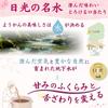 WellSweets Salt Yokan Hokkaido Red Bean Paste 100% Beet Sugar Mini Yokan 20g 10 Pieces Individually Wrapped