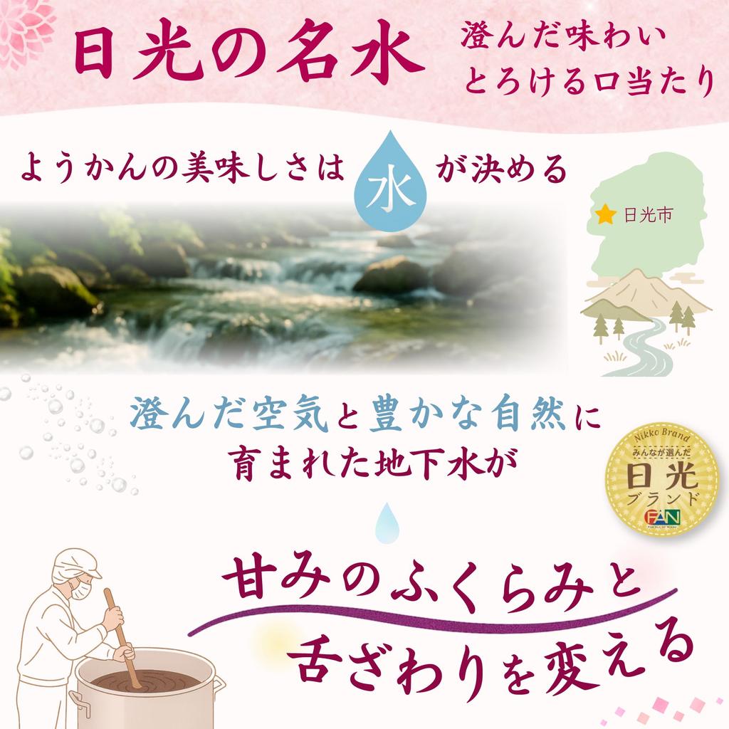 WellSweets Salt Yokan Hokkaido Red Bean Paste 100% Beet Sugar Mini Yokan 20g 10 Pieces Individually Wrapped