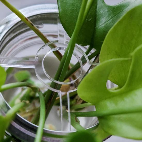 2 Pcs Mason Flower Jar Insert Lid for Wide Mouth Mason Canning Jars Plastic Mason Grid Flower Organizer Lid Insert Mason Jar Lids with Straw Hole