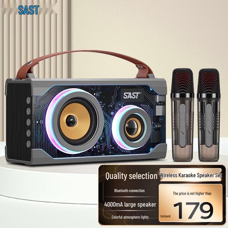 SANSUI T65 Home KTV Bluetooth Speaker with Dual Microphones CN plug (adapter included)