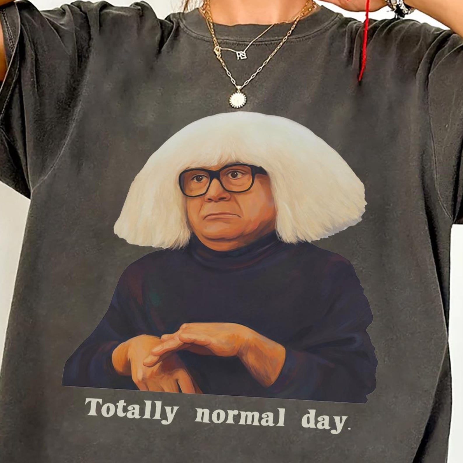 Comfort Colors Totally Normal Day Shirt - Funny Danny Devito Tee L