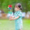 12 Pcs Colorful Windmill Toy Kids Pinwheels Handheld Garden Decorative Stakes Wind Spinners Outdoor Garden Supplies