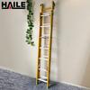 HAILE Telescopic Utility Ladders