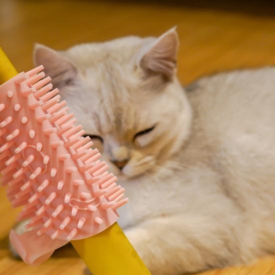 Corner Pet Brush Massage Rubbing Board Multifunctional Silicone Self Grooming Comb Cat Scratcher