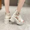 Platform Sandalias Female Hollow Fashion Sandals Boots Fish Mouth High Help Heel Summer Casual2024 Versatile Black Zapatos Mujer