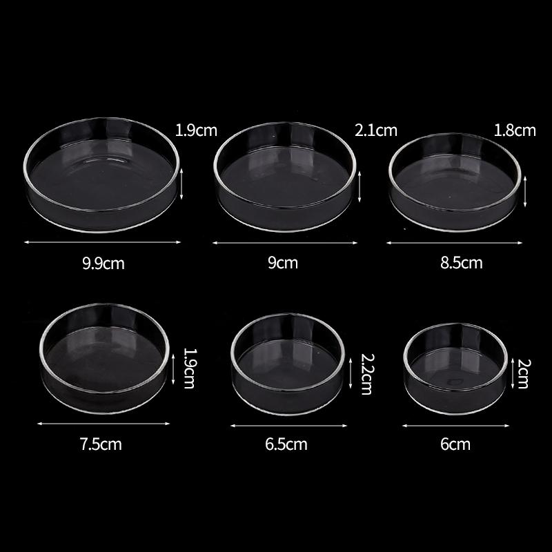 Aquarium Feeding Bowl Fish Tank Feeder Shrimp Tropical Fish Ratfish Glass Feeding Dish Clear Round Tray Reduce Food Scraps