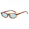 Small Frame Personalized Women's Sunglasses Retro Casual Simple Neutral Models Are Suitable for Daily Business Commuting