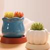 Succulent Planter Drainage Saucer: Anti-Root Rot Water Catcher Tray for Small Green Plants