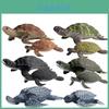 Animal Model Toy Set With Pvc Material For Sand Table Scene Decoration