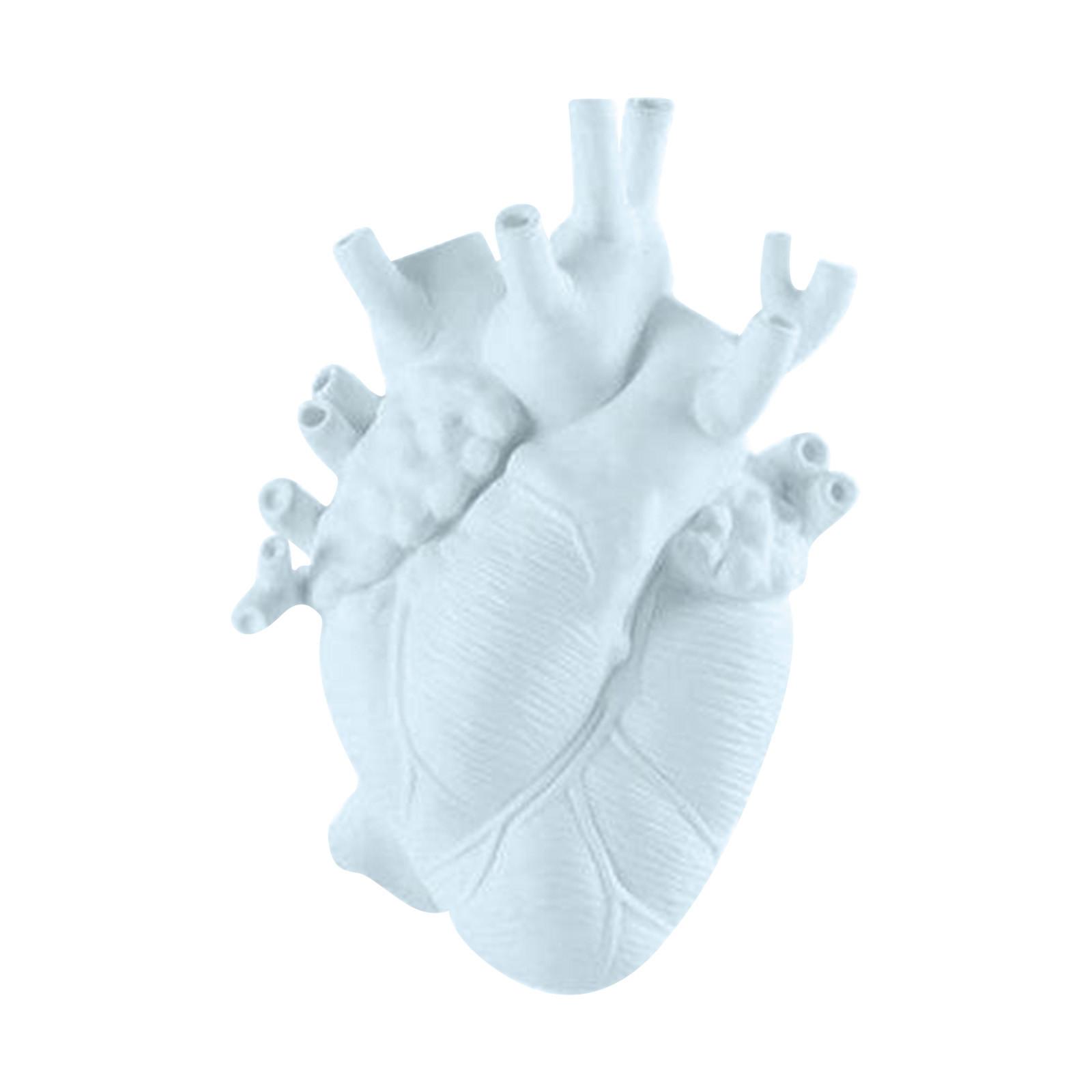

Heart Vase, Anatomical Flower Pot, Creative Anatomical Heart Vase, Resin Heart Vase, Anatomical Heart Statues Vase One Size білий