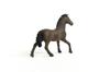 Schleich Horse Club Oldenburg 13946 (Male)