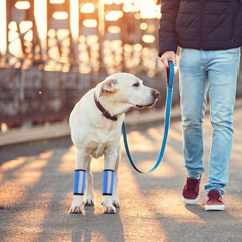 protective dog leggings