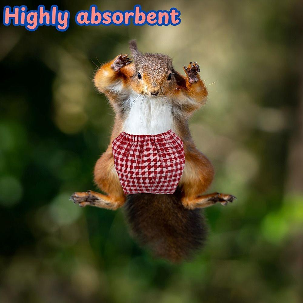 Toilettentraining Haustier-Trainingshosen Saugfähige Eichhörnchen-Unterwäsche Weiche Kleine Haustierwindeln Murmeltiere