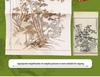 Feile Bird Chinese Landscape Painting Set: Ink & Brush Gift Box with Tutorial Video