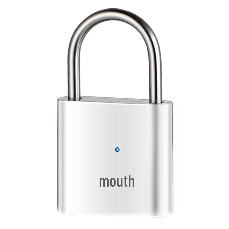 Lacăt inteligent cu amprentă digitală, impermeabil - Exterior rezistent la rugină, antifurt și cu blocare electronică pentru ușa de la intrare și dulap.