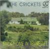 7inch Record CRICKETS - Back Home In Tennessee RCEP111 ROLLERCOASTER 1990 UK Rock Used
