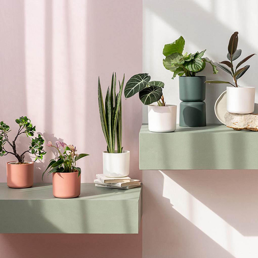 M Pot Transform Home Or Center Flower Pots Indoor Pot For And And Office Plants Planters For Herb Indoor Plants