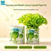 IAM City Farmer DIY Plant Growing Kits