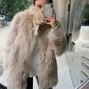 Imitation Fox Fur Coat Autumn and Winter New Temperament Plush Warm Coat