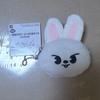 GIGO SKZOO Coin Purse Leebit