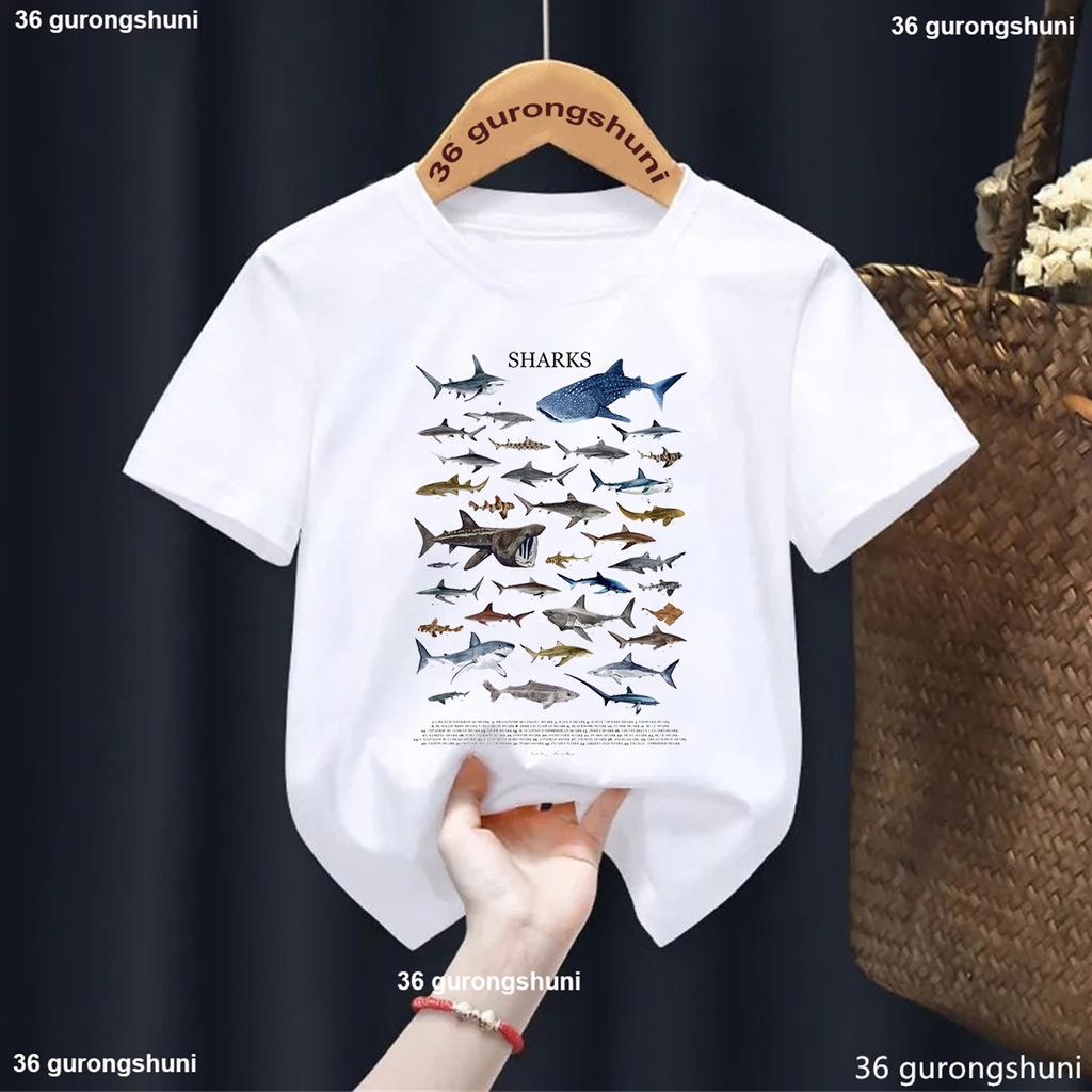 Types of Shark Identification Cartoon Print Tshirt Boys Kawaii Kids Clothes Cute TShirt ChildrenS Clothes Summer Toddler Tee