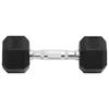 VidaXL Haltères 2 pcs 8 kg Total Fonte, ensemble d'haltères, haltère hexagonal, plaque de poids, barre de poids, poids libre 93600
