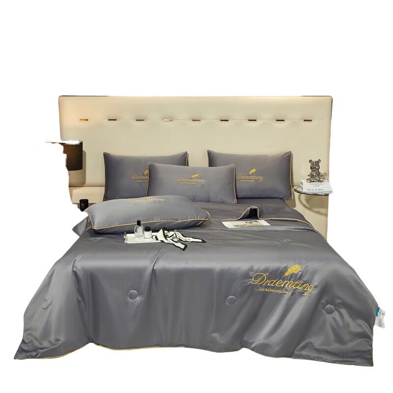 

Langsha Washable Ice Silk Summer Quilt