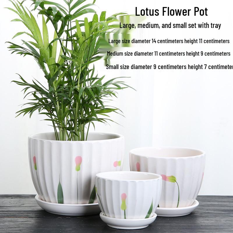 Elegant White Ceramic Flower Pot with Tray - Ideal for Ivy, Spider Plants, and Succulents