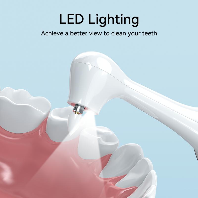 IPX6 Waterproof Electric Toothbrush Rotation Clean Teeth Adult Teeth Brush Electric Tooth Brush With 6 Extra Replacement Heads