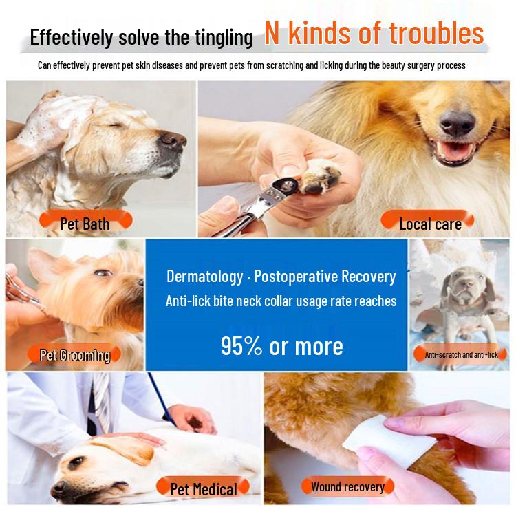 Inflatable Pet Anti-Scratch Collar for Dogs and Cats