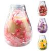 Mini Glass Decorative Bottle with Dried Flowers Compact Transparent Floral Ornament for Desk Bedside Window Sill Double Wall Hydroponic Vase Home