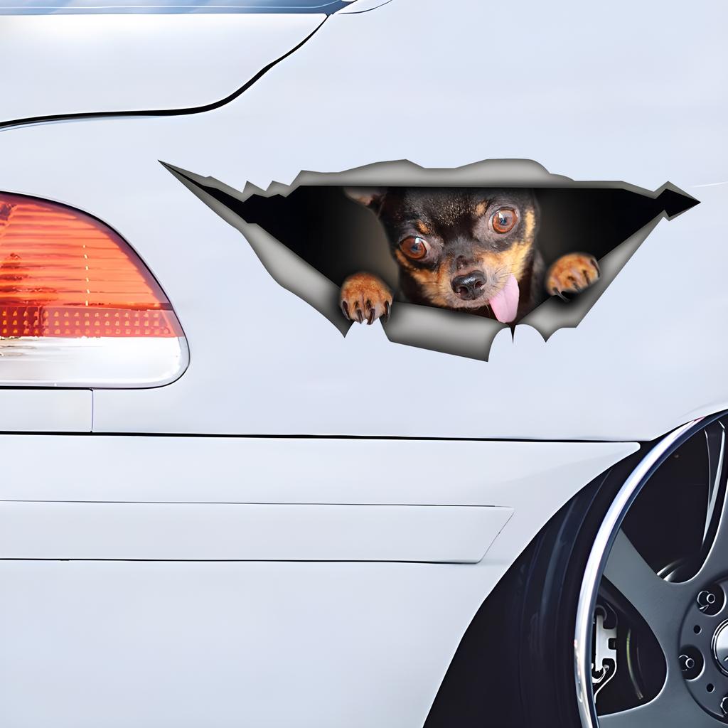 Čivava Samolepky na auto Legrační vodotěsné vinylové nálepky Dekorativní příslušenství pro motocykly, používané pro auta, motocykly, notebooky, dodávky