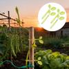 Leaf-Shaped Plant Ties Heavy Duty Zip Ties Cable Management Ties for Garden