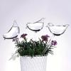 5pcs Bird Automatic Waterer Set - Easy Plant Care, Innovative Automatic Flower Watering System for Home Gardens - Continuous Water Supply