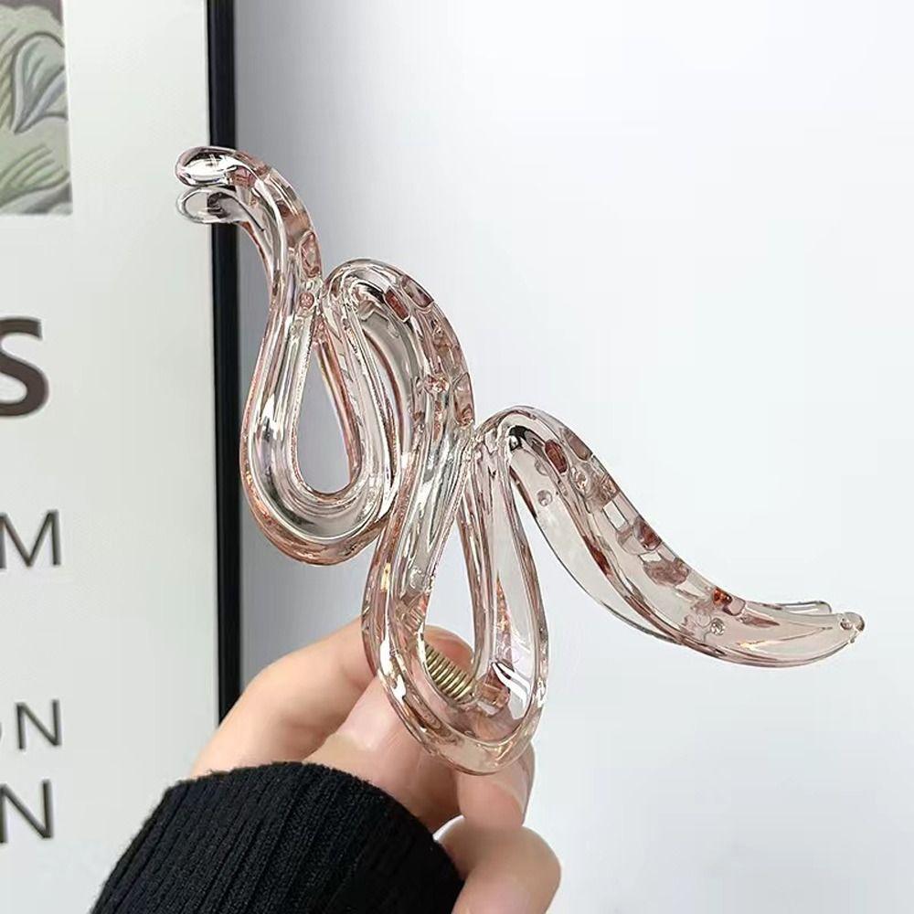Transparent Hair Clips Acrylic Hair Pins Korean Style Hair Claws  Wash Face
