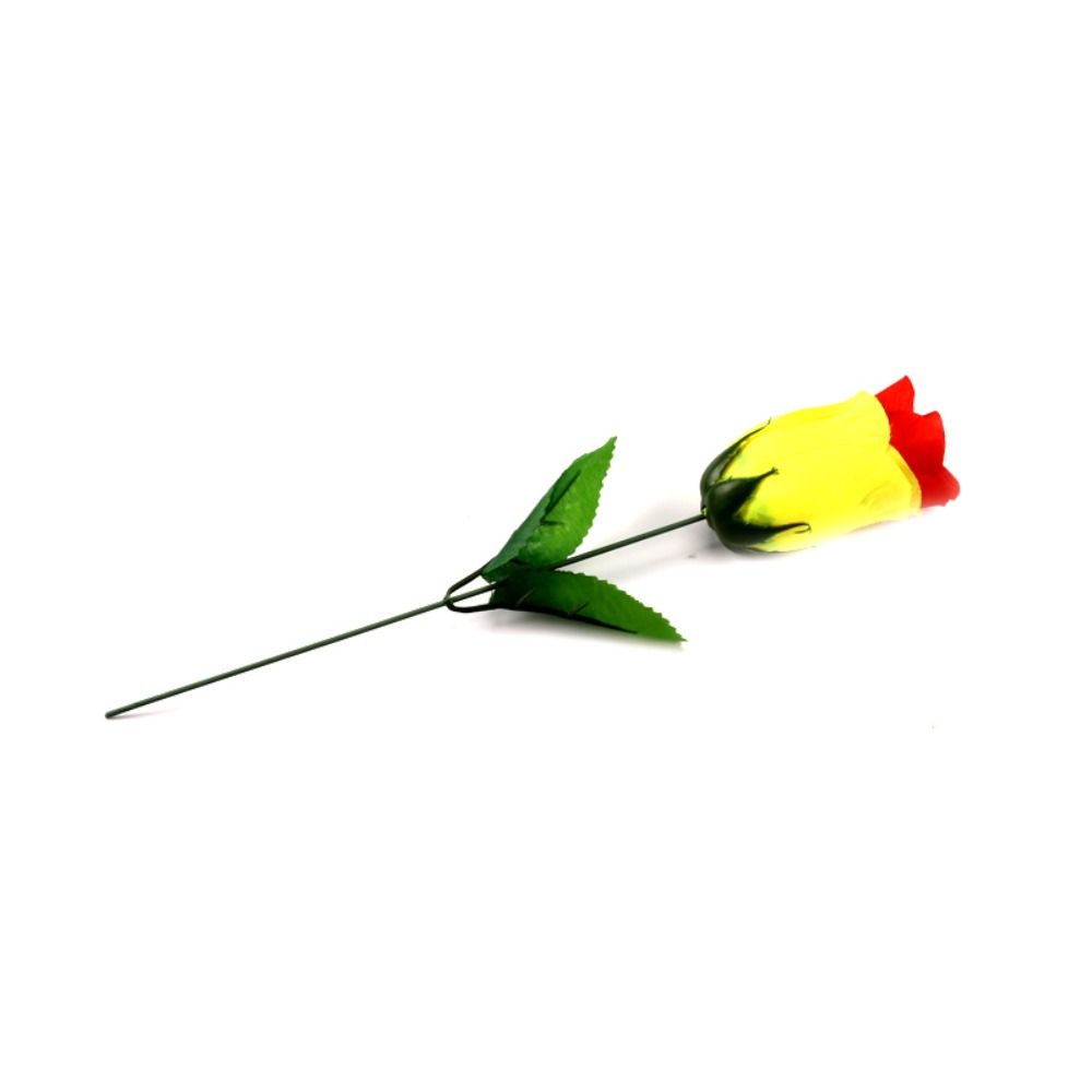Colorful Rose Discoloration Roses Red Change Yellow Changing Color Rose  Player Magic Props