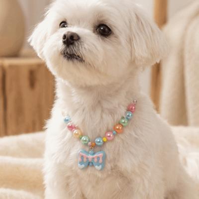 Ropa y calzado – Accesorios para perros