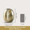 Metal Hammered Oval Shape Vase for Home Decor Decoratives for Indoor Outdoor Living Room Balcony | Best Gift