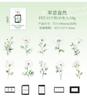 30 Pcs Film and Flowers Plant Stickers Pack Creativity PET Decorative Sticker for DIY Diary Scrapbooking Junk Journal Supplies