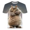 Maglietta con motivo a gatto divertente per uomo, personalità animale, stampa 3D, magliette estive larghe a maniche corte, scollo rotondo casual