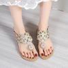 Casual Flat with Flip Flops Woman Shoes 2025 Summer Women Slippers Design Open-toe Flat Women's Beach Sandals/Slippers Outdoor