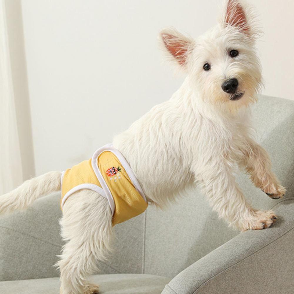 Auslaufsichere Hunde-Physiologische Hose Cartoon Haustierwindel Neue Hunde-Menstruationshose Haustierbedarf