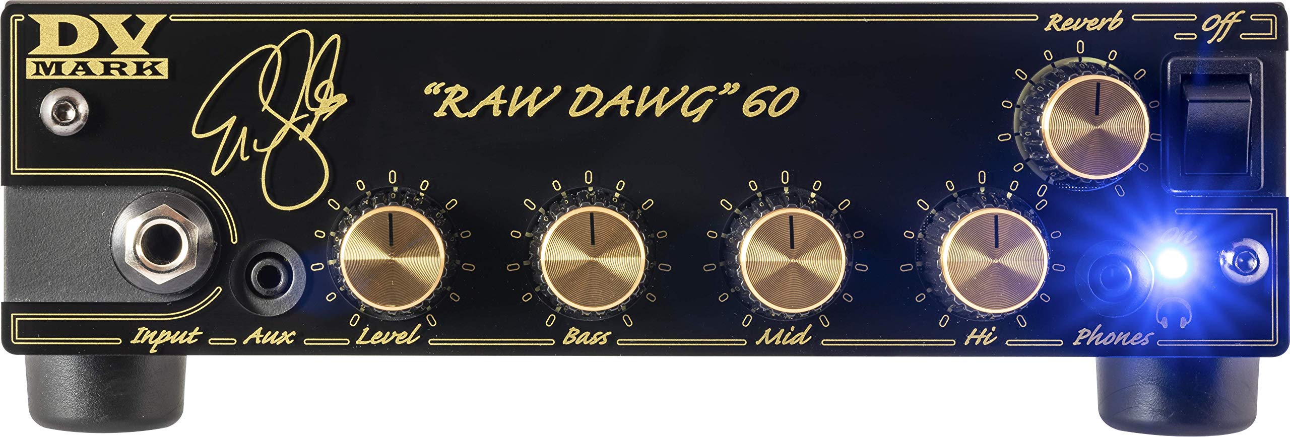 Amplificatore DV MARK DV RAW DAWG 60 ERIC GALES Signature DVM-RDEG60/H