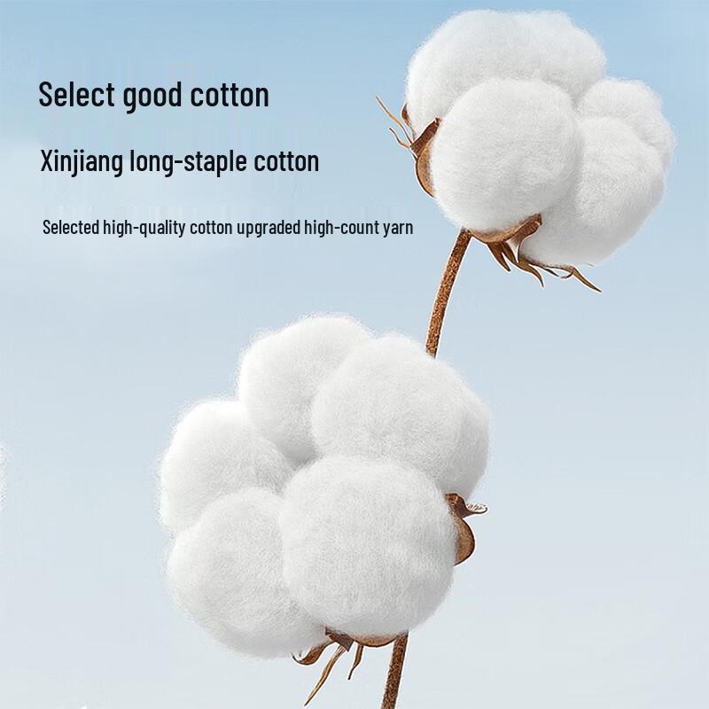 LANGSHA Women's Cotton Antibacterial Mid-Waist Briefs 5-Pack