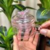 280Ml Tea Separation Teacup with Lid, Tea Separation Pink Borosilicate Heat-resistant Glass Office Cup Drinkware Glassware