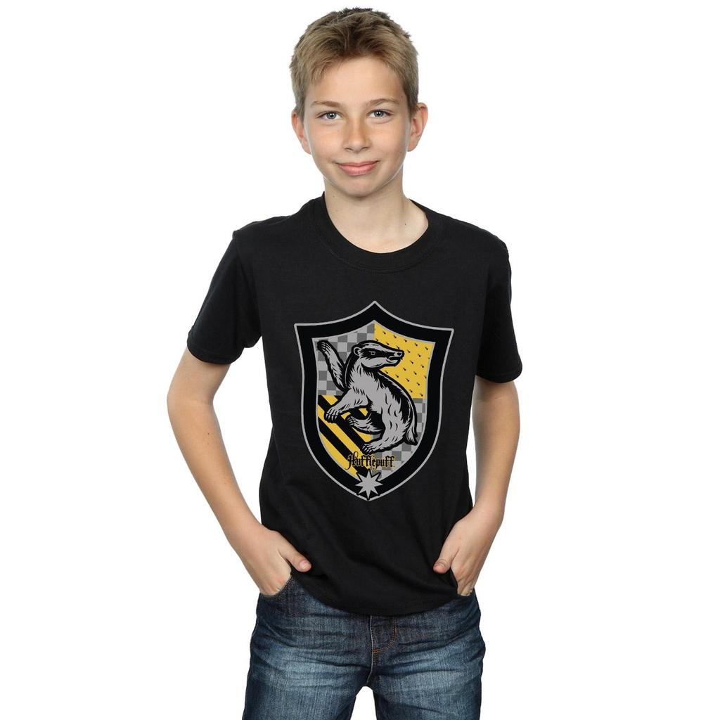 Harry Potter Boys Hufflepuff Crest Flat T-Shirt
