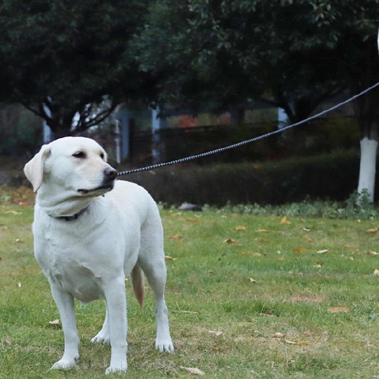 Extra Long Dog Leads 5M 10M With Soft Padded Handle And Reflective Design Perfect For Recall Training