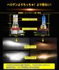 WENLE H8/H9/H11/H16 Common LED Headlight Fog Lamp, Bulb, Compatible with New Vehicle Inspection, 8x